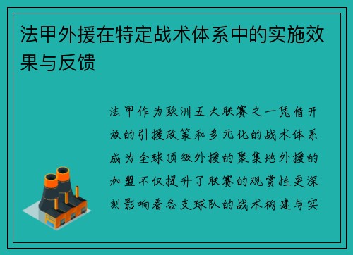 法甲外援在特定战术体系中的实施效果与反馈