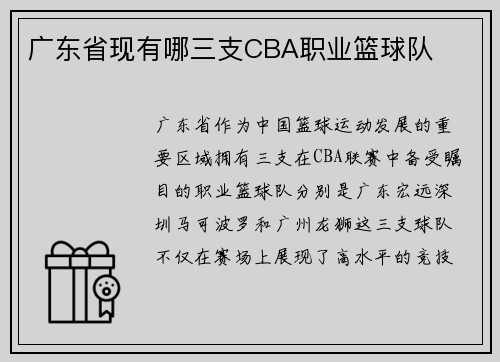 广东省现有哪三支CBA职业篮球队